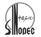 中國石油化工集團公司