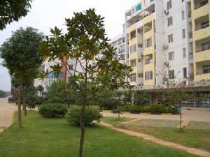 南湖山莊三期 南湖山莊三期