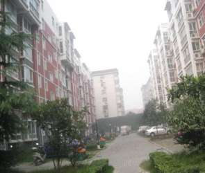 新田公寓 新田公寓