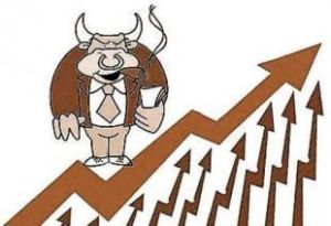 基金投資者 基金投資者