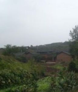 張家沖村 張家沖村