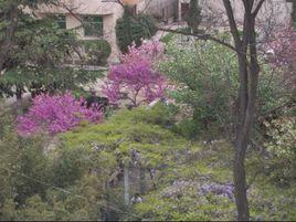 長安2中 長安2中