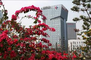 邁科龍集團 邁科龍集團