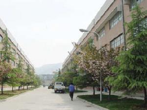 東城時代 東城時代