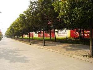 翰香府四期 翰香府四期