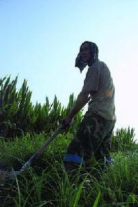 化肥工業發展史 化肥工業發展史