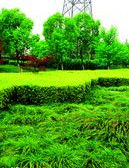 園林綠化 園林綠化