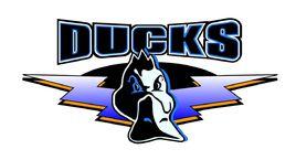 北京男藍 北京男藍