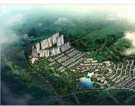 金科東方大院 金科東方大院