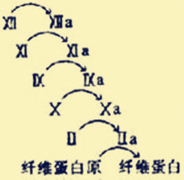 瀑布效應 瀑布效應