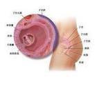 婦科普查 婦科普查