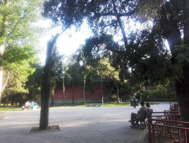 日壇公園 日壇公園