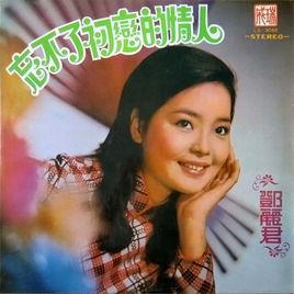 忘不了初戀的情人 忘不了初戀的情人