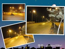 來賓石龍 來賓石龍