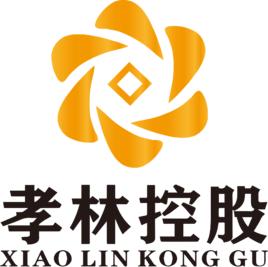 孝林控股有限公司 孝林控股有限公司