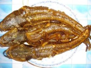 蘿蔔燉辮子魚 蘿蔔燉辮子魚