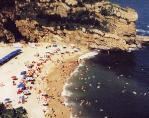 平島[遼寧省大連]