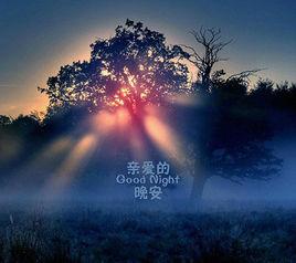 晚安[田七導演歌曲]