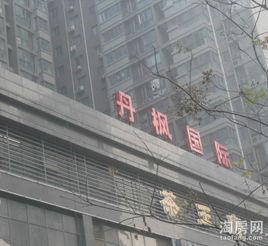 丹楓國際 丹楓國際