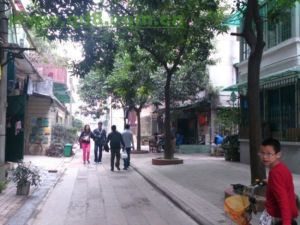 逢源西街 逢源西街