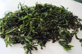 餘慶小葉苦丁茶 餘慶小葉苦丁茶