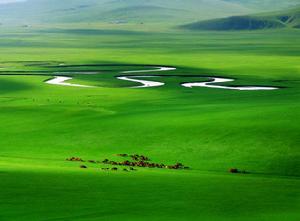 呼倫貝爾草原