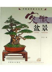 安徽盆景 安徽盆景