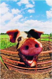 榮成4中 榮成4中