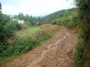 蚌岡哈伲二村 蚌岡哈伲二村