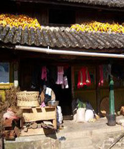 打虎山自然村 打虎山自然村