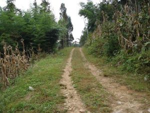 追栗沖村 追栗沖村