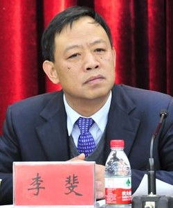 李斐[武漢大學副校長]