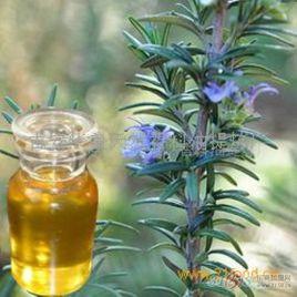 迷迭香油 迷迭香油