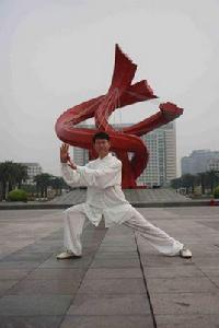 武當趙堡太極 武當趙堡太極