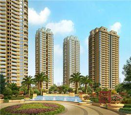 濱江一號公館 濱江一號公館