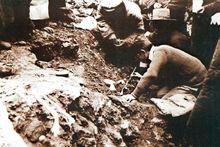賈蘭坡在考古發掘現場