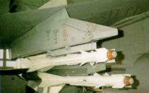 蘇聯AA—8空空飛彈 蘇聯AA—8空空飛彈