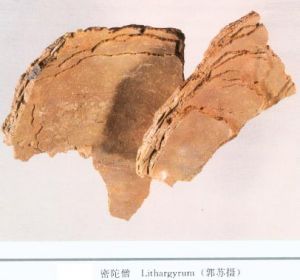 含化密陀僧丸 含化密陀僧丸