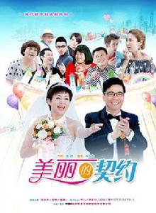 美麗的契約[2014年宋丹丹、范明主演電視劇]
