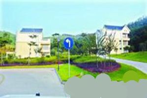 葉樹養在任時在公安局內修建的豪華小別墅