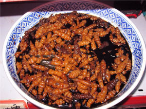 保定槐茂醬菜 保定槐茂醬菜