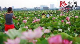 河口鎮[湖南省湘潭市湘潭縣河口鎮]