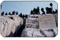 九龍山摩崖墓群