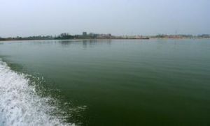 金沙湖生態旅遊風景區