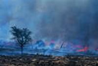 環境監管失職罪