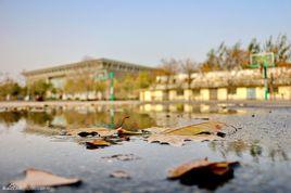 洛陽師範學院歷史文化學院 洛陽師範學院歷史文化學院