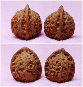 紅獅子頭 紅獅子頭