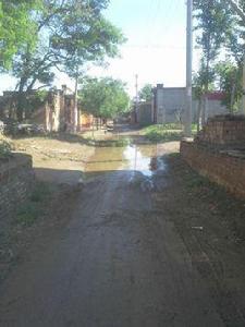 西王團村 西王團村