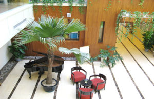 上海真愛醫院 上海真愛醫院