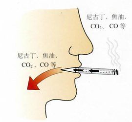 有毒物質 有毒物質